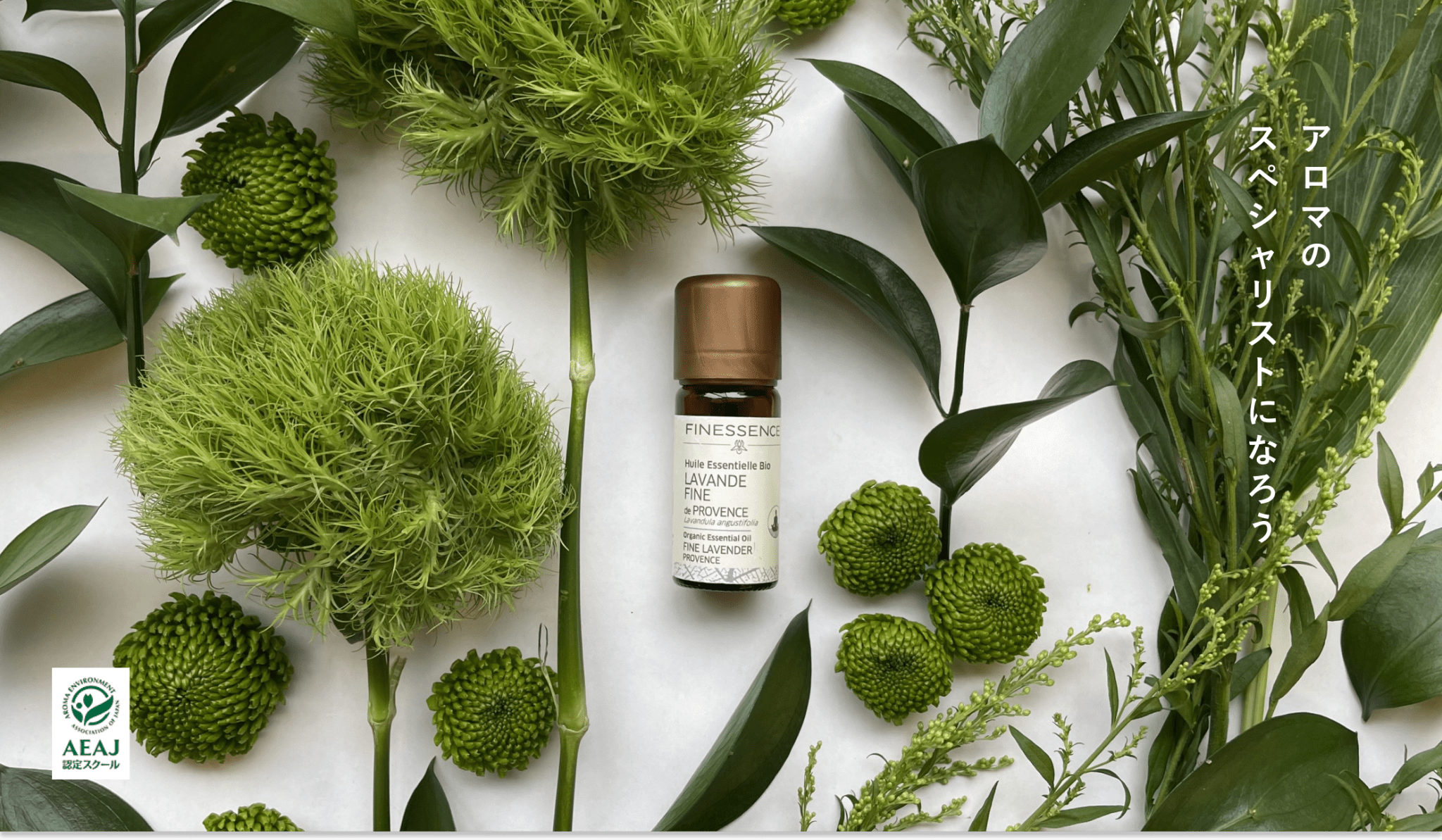 銀座アロマテラピースクール ＡＥＡＪ（公益社団法人日本アロマ環境協会）総合資格認定校