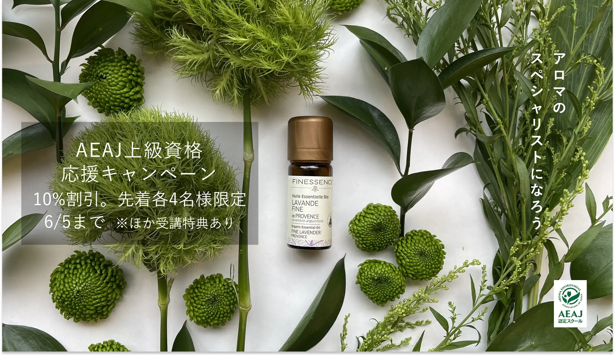 銀座アロマテラピースクール ＡＥＡＪ（公益社団法人日本アロマ環境協会）総合資格認定校