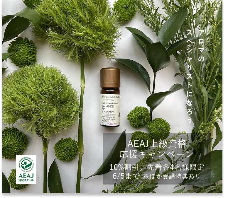 銀座アロマテラピースクール ＡＥＡＪ（公益社団法人日本アロマ環境協会）総合資格認定校