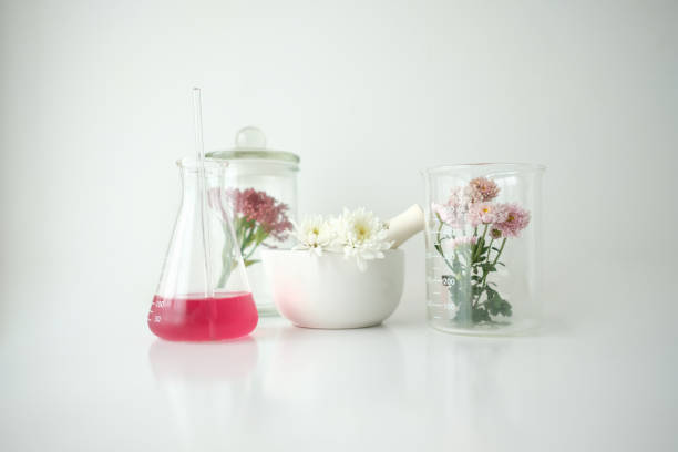 AEAJアロマテラピーアドバイザー認定講習会