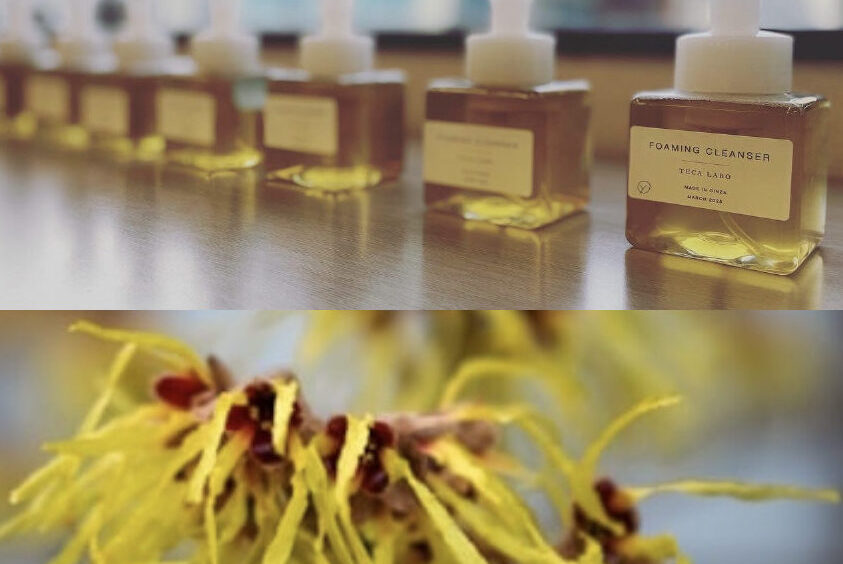 ―ハマメリスを配合!-イランイラン精油とラヴィンサラ精油の 美肌液体石けんづくり1dayレッスン